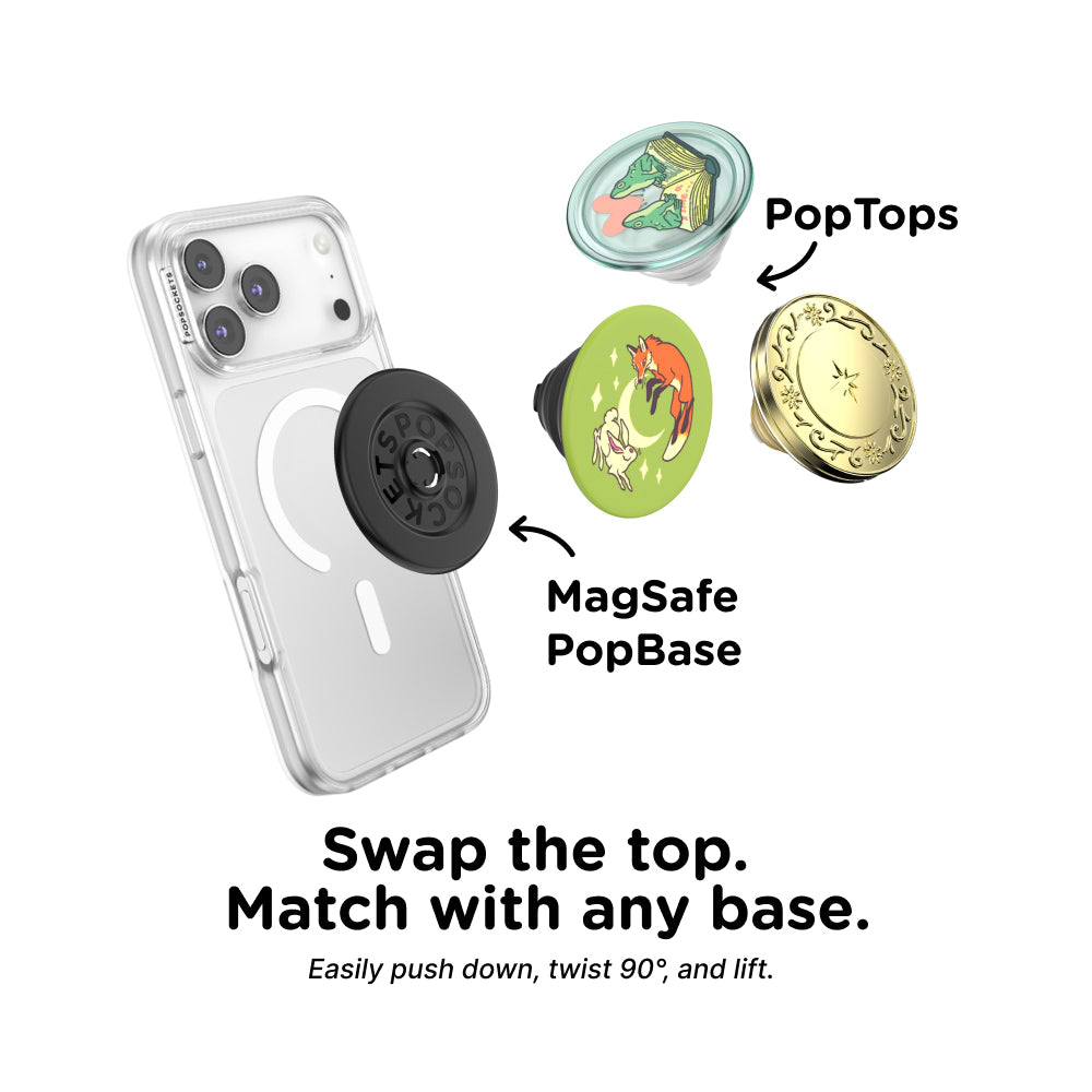 The Fox and The Hare — PopTop - US 79849