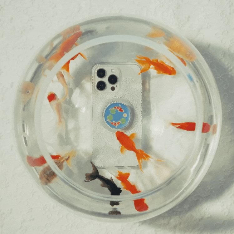 Koi Pond — MagSafe PopGrip - US 24070