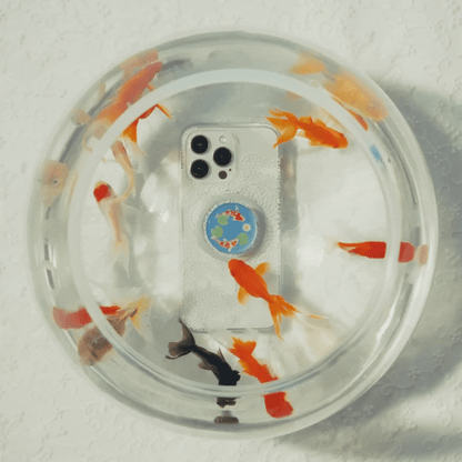 Koi Pond — MagSafe PopGrip - US 52950
