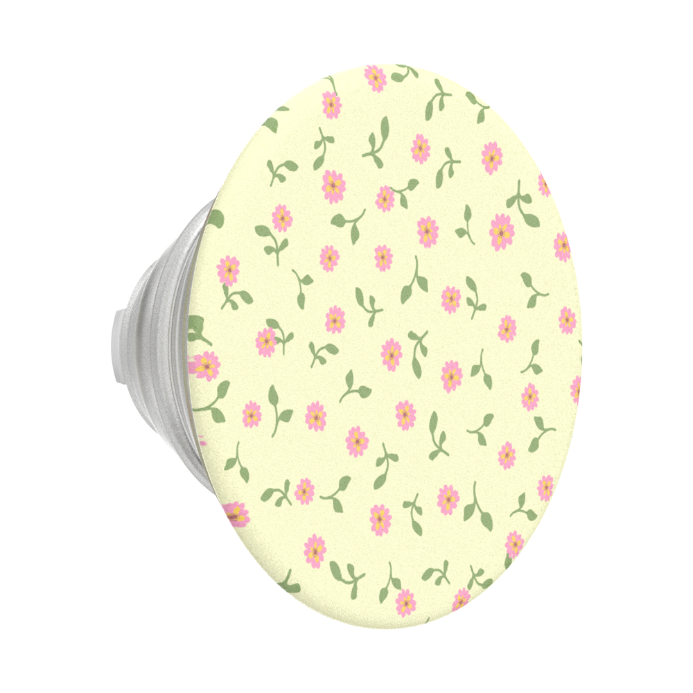 Dainty Prairie — MagSafe PopGrip - US 81974
