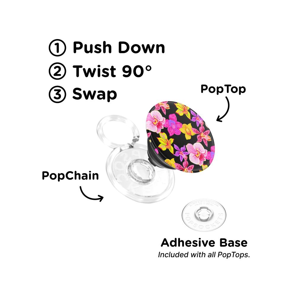 Haute House — PopTop - US 82849