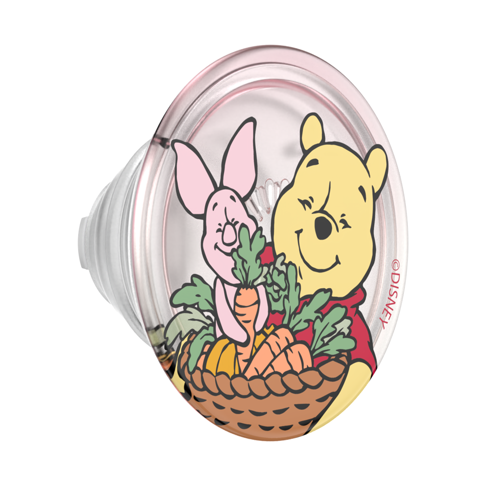 Harvest Friends — MagSafe PopGrip - US 18985