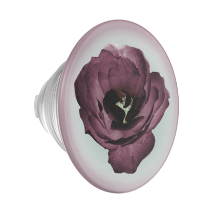 Mauve Reverie — PopTop - US 83504