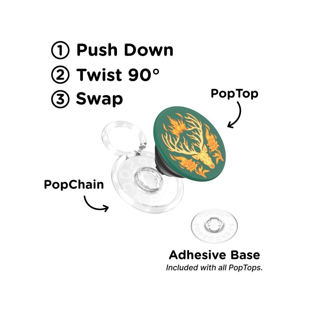 Terrasen — PopTop - US 35552