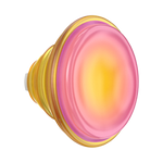 Jelly Sunni B — PopTop - US 77372