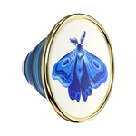 Enamel Gossamer — PopTop - US 33907