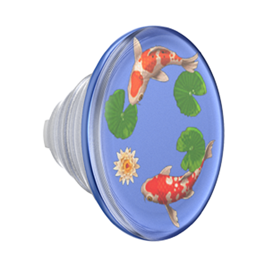 Koi Pond — PopTop - US 07643