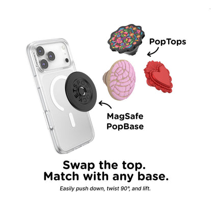 PopOut Concha — PopTop - US 15356