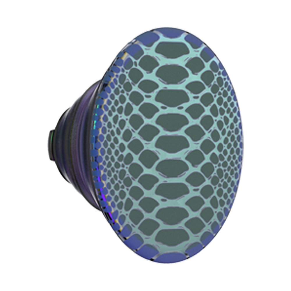 Scales — PopTop - US 99592