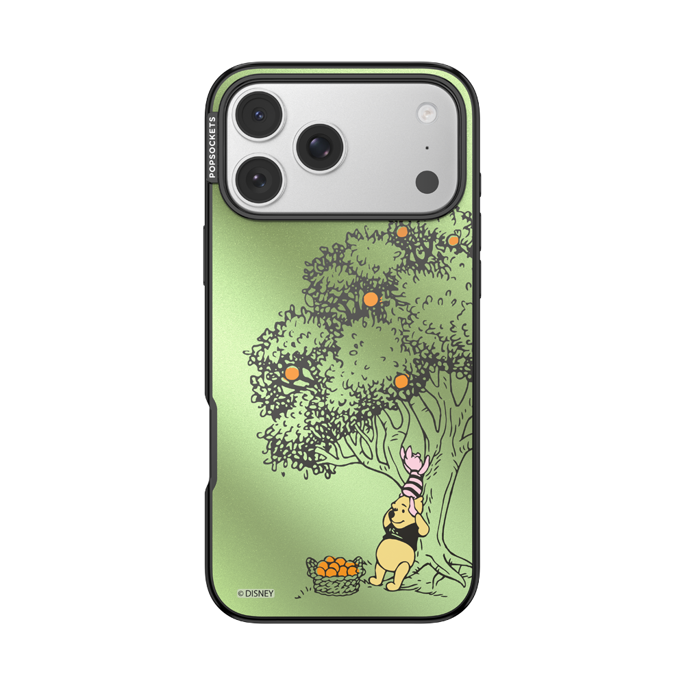 100 Acre Wood — iPhone 17 Pro Max MagSafe Case - US 96953