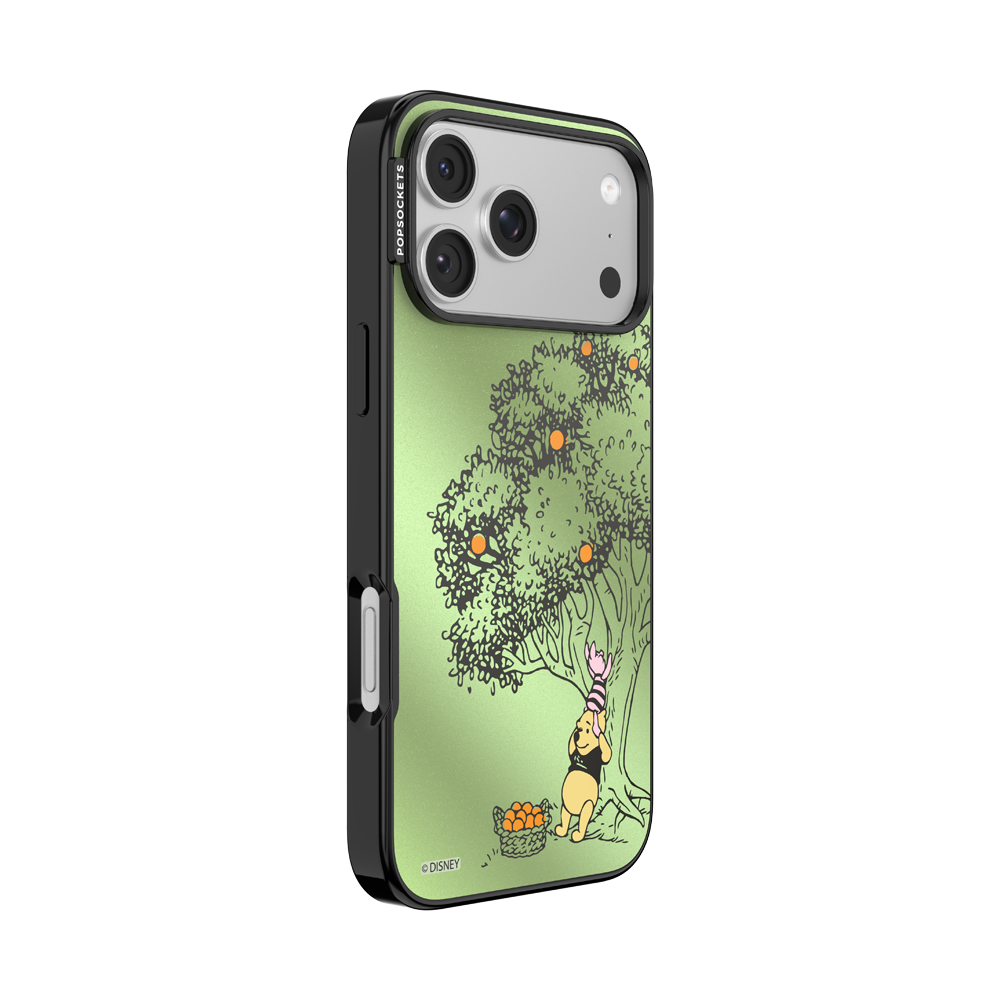 100 Acre Wood — iPhone 17 Pro Max MagSafe Case - US 38178