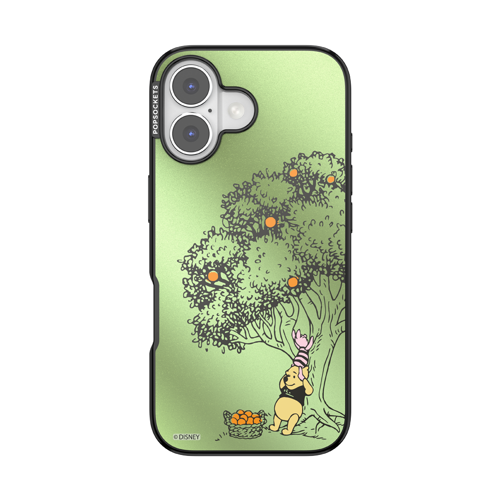 100 Acre Wood — iPhone 17 MagSafe Case - US 30438