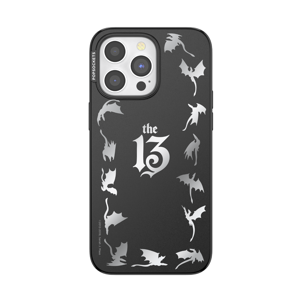 Mirror The 13 — iPhone 15 Pro Max MagSafe Case - US 16636