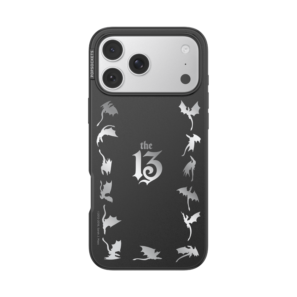 Mirror The 13 — iPhone 17 Pro Max MagSafe Case - US 94699