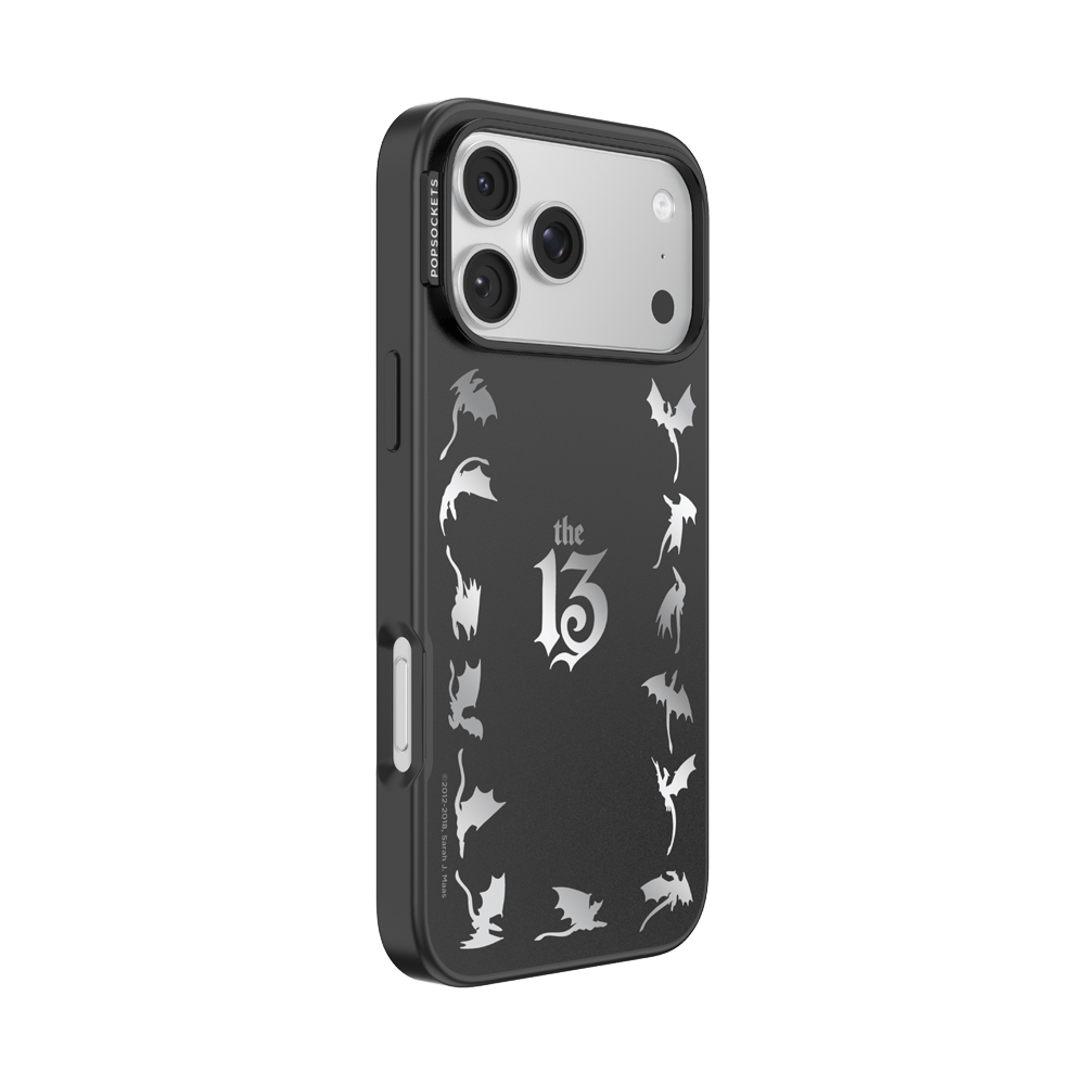 Mirror The 13 — iPhone 17 Pro Max MagSafe Case - US 29508