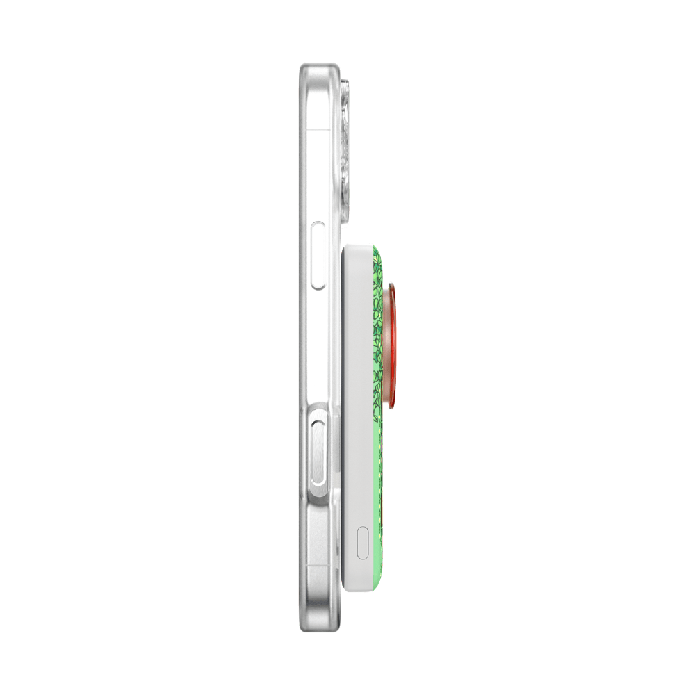 Storied Shelves Green — MagSafe PowerPack - US 27504